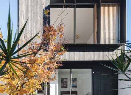 facade garden established