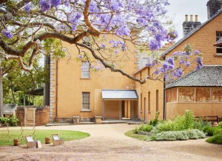 High Tea, Vaucluse 1