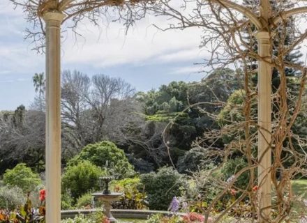 High Tea, Vaucluse 6