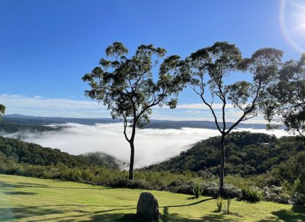 High-View-Yarramulong-4281.jpeg