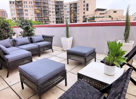 Highline, Pyrmont_24