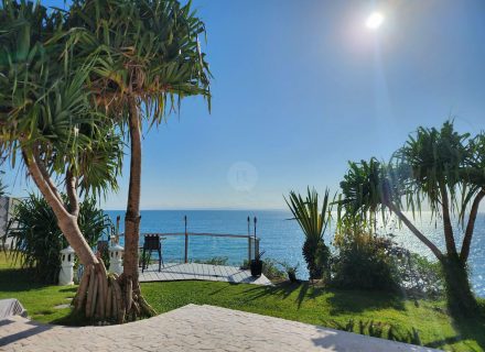 backyard garden established