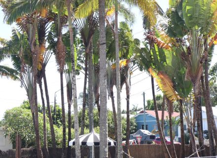 Hola Motel, Brunswick Heads-34