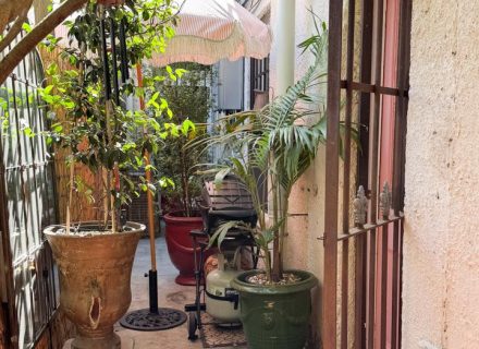 Hollywood Glamour, Collingwood - Garden - 1