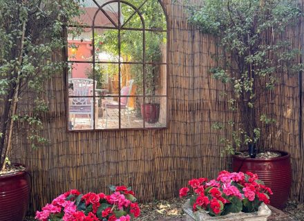 Hollywood Glamour, Collingwood - Garden - 3