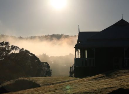 House-misty-morning.jpg