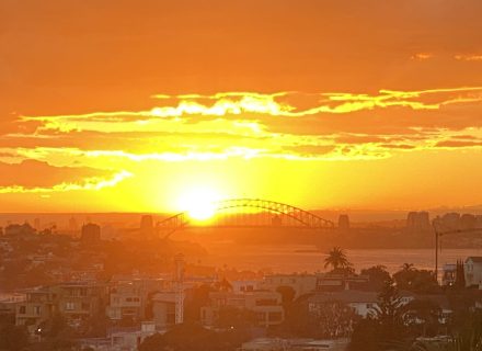 Opal House, Dover Heights