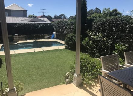 backyard