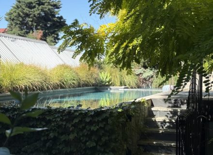 ITALIANATE POOL AND GARDENS3