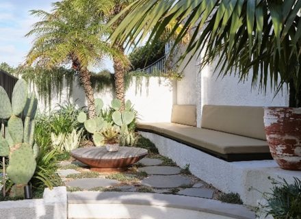 garden established pool