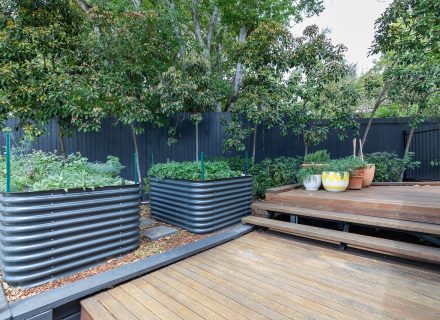 Isadora, Kelvin Grove 25