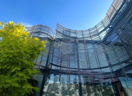 Italianate House, Richmond-81