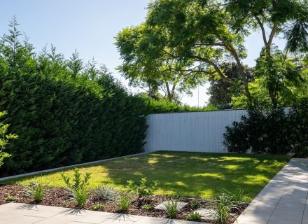 backyard garden established