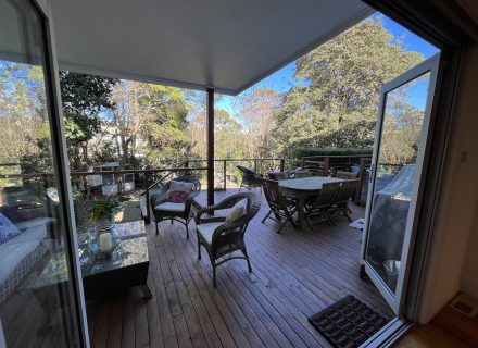 Jacaranda Splendour, Forestville