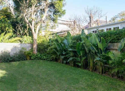 backyard pool garden established