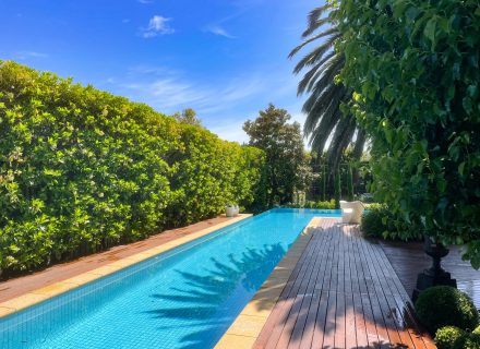 Jasmine, Mount Martha-17