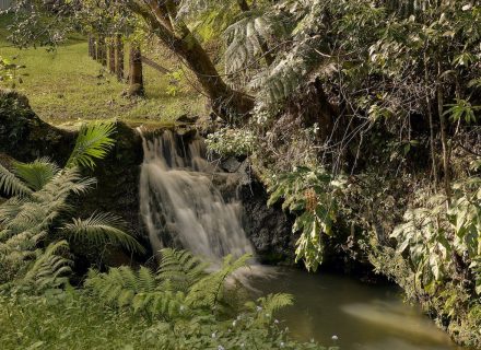 Jumanji, Currumbin Valley 11