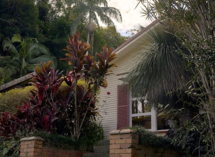 Jumanji, Currumbin Valley 12