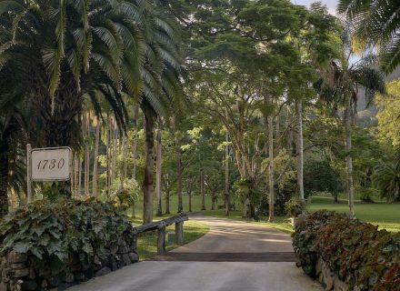 Jumanji, Currumbin Valley 13