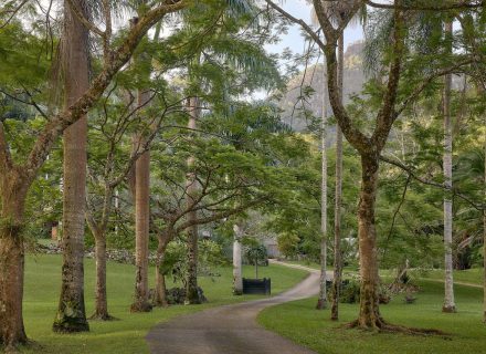 Jumanji, Currumbin Valley 15