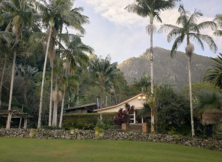 Jumanji, Currumbin Valley 16