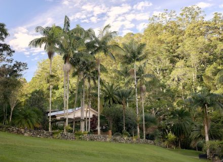 Jumanji, Currumbin Valley 19