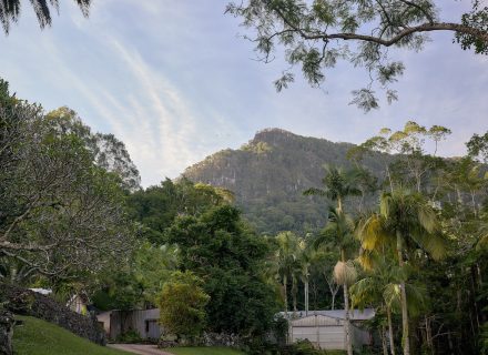 Jumanji, Currumbin Valley 22