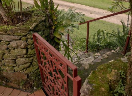 Jumanji, Currumbin Valley 29