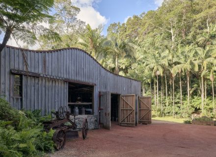 Jumanji, Currumbin Valley 3
