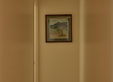 Jumanji, Currumbin Valley 36