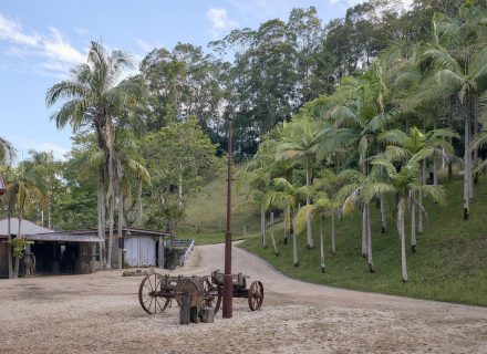 Jumanji, Currumbin Valley 4