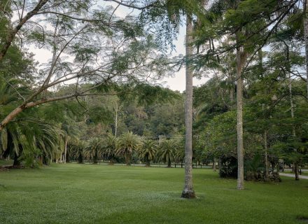 Jumanji, Currumbin Valley 48