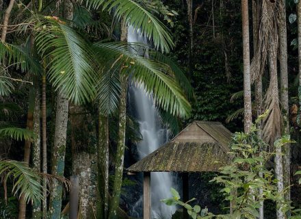 Jumanji, Currumbin Valley 53
