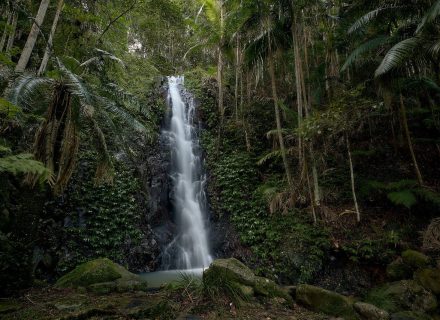 Jumanji, Currumbin Valley 55