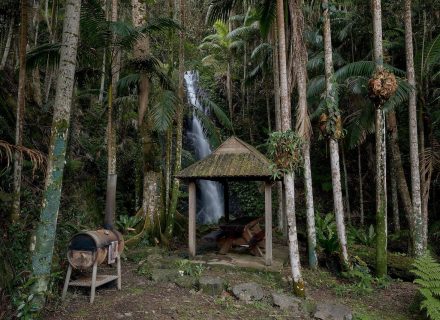Jumanji, Currumbin Valley 57