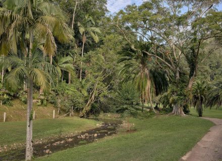 Jumanji, Currumbin Valley 7