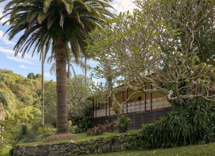 Jumanji, Currumbin Valley 8