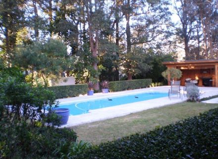 pool backyard