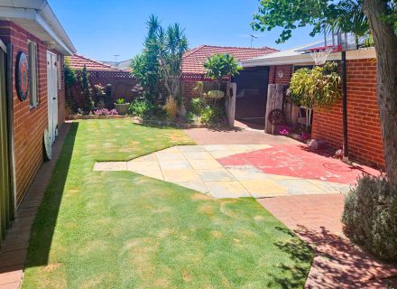 backyard garden established pool
