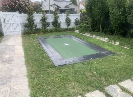 backyard garden established