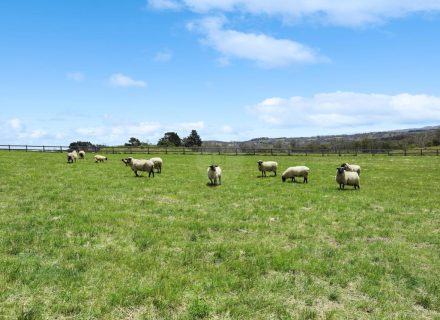 Keystone Estate, Bowral-11