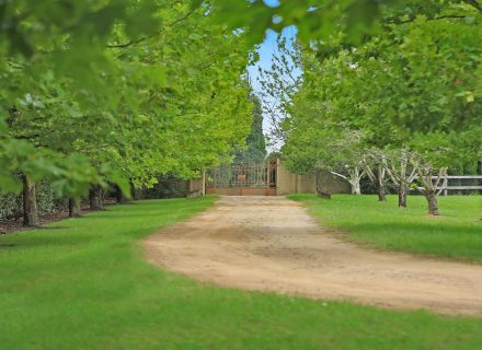 Keystone Estate, Bowral-32