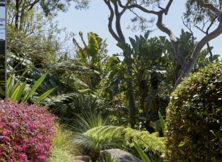 garden established