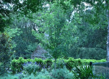 established gardens