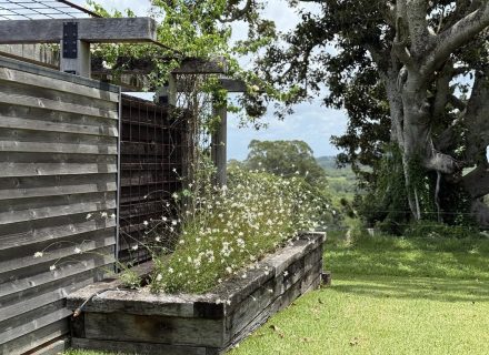 LA DIMORA BARN65