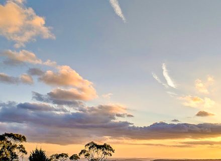 Lawrance-kangaroos-in-foreground.jpg