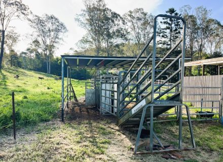 Leafy Acres, Pullenvale 23
