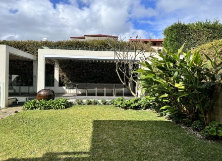 backyard outdoor area