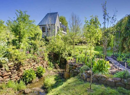 outdoor area garden established