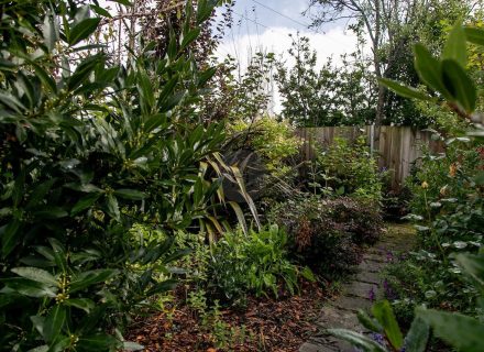 garden established